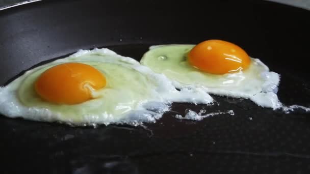 Яйца крупным планом, поджаренные на сковородке в замедленной съемке — стоковое видео
