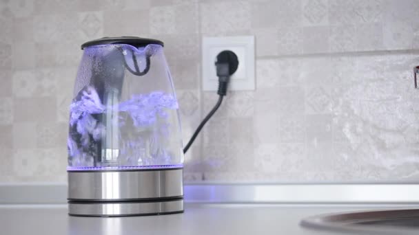 Water kookt in een waterkoker — Stockvideo