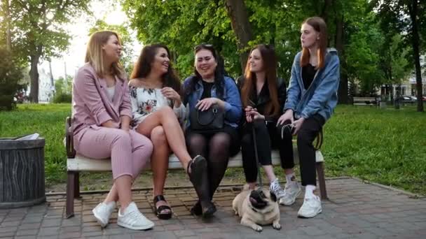 Skupina dívek, které mluví a smějí se v parku na lavičce s pugovým psem