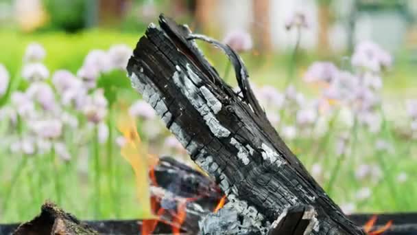 Primer plano de un tronco ardiendo, leña ardiendo en un brasero en un picnic en el jardín — Vídeos de Stock