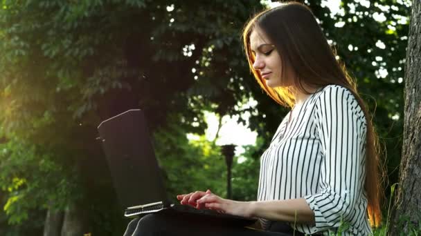Joven mujer de negocios bonita escribiendo en un ordenador portátil, sentado en la hierba cerca del árbol, mujer usar cuaderno en el parque — Vídeo de stock