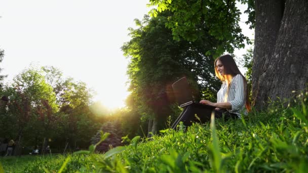 Unga vackra affärskvinna sitter på gräset nära träd och använda anteckningsbok, kvinna att skriva på en bärbar dator i parken — Stockvideo