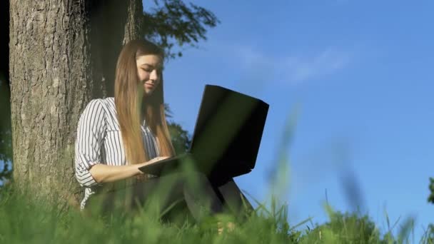 Mujer de negocios que trabaja en el ordenador portátil en el parque al aire libre — Vídeos de Stock