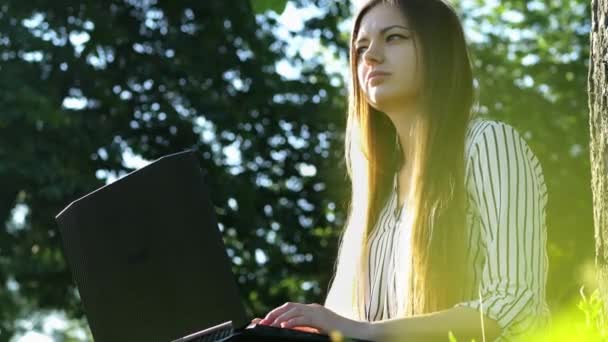 Zakenvrouw chatten op laptop met met collega's in City Park — Stockvideo