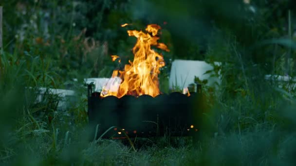 Пламя огня в гриле на заднем дворе на траве — стоковое видео