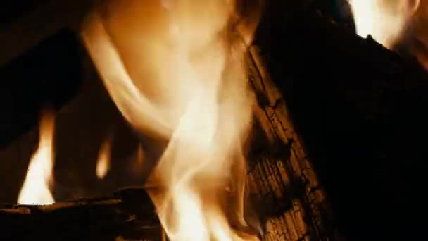 Bonfire, bois de chauffage brûle, flammes de feu dans le feu de camp 