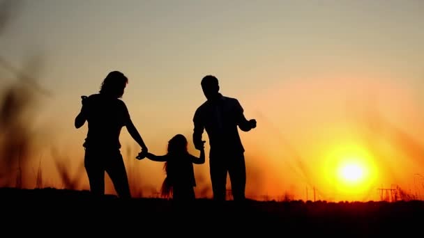 Силуэты счастливой семьи держатся за руки и убегают от рамы на летнем закате, наслаждаясь отдыхом — стоковое видео