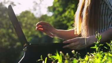 Yakın çekim Kadın eller açık Notebook ve yazarak, parkta gün batımı at laptop kadın kullanımı