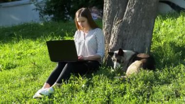 Sokak köpeği, çim üzerinde oturan bir dizüstü bilgisayarda çalışan genç bir işkadını yakın yatıyor
