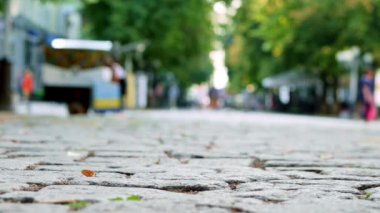 Plastik kirlilik, plastik fincan yavaş hareket şehir sokakta düşüyor