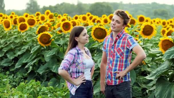 Dos campesinos están hablando, hombre y mujer en la esfera agraria, hablando en un campo de girasoles — Vídeo de stock