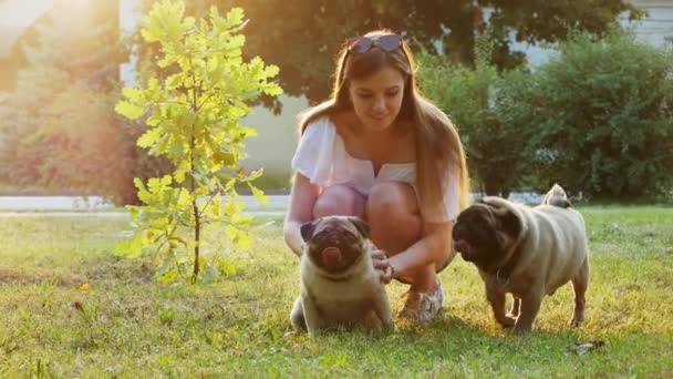 Frau streichelt und kratzt süßen Mops Hund, spielt mit zwei Hunden auf der Liegewiese im Park bei Sonnenuntergang — Stockvideo