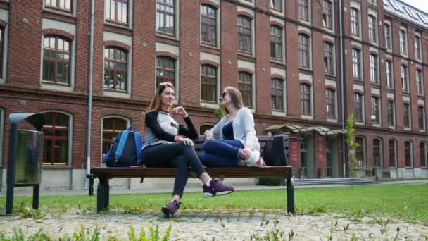 Des étudiantes joyeux bavardant tout en étant assis sur le banc dans le parc du campus avant les cours. Amis universitaires — Video