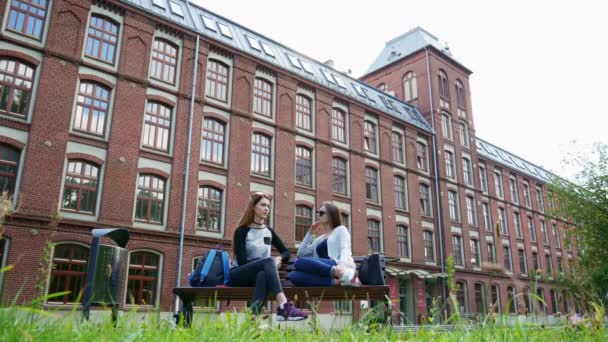 Vakre kvinnelige studenter som chatter mens de sitter på benken i campus før undervisningen. Universitetsvenner – stockvideo