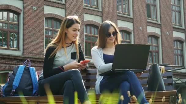 Współczesne studentki pracujące razem nad laptopem nad projektem studenckim, siedzące na ławce w kampusie przed lekcjami. Szkolnictwo wyższe — Wideo stockowe