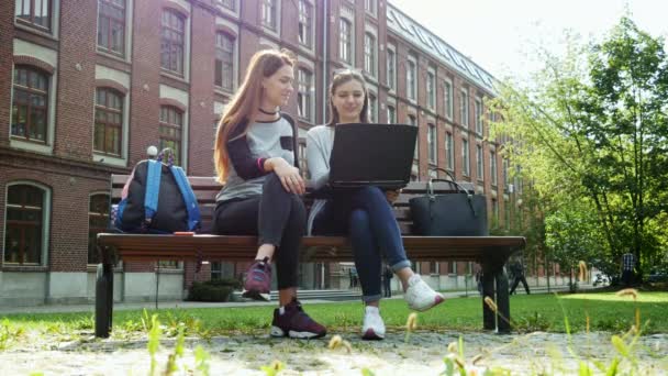 Schöne und glückliche Studentinnen, die an einem gemeinsamen Projekt arbeiten und Hausaufgaben am Laptop machen, in einem Park auf dem Campus sitzen, Menschen im Hintergrund — Stockvideo