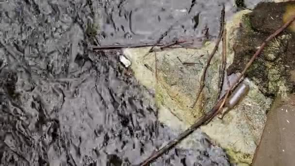 Vista superior basura y contaminación flotando en el agua, botellas, basura y algas en el río, cuneta de la ciudad. Concepto de contaminación ambiental — Vídeos de Stock