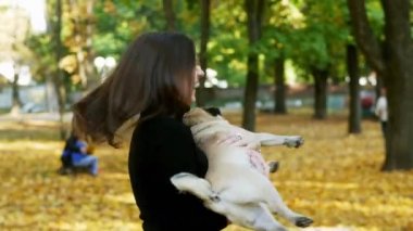 Elinde pug dog tutan bir kadın ve etrafında döner. Güneşli sonbahar parkında yürüyorum