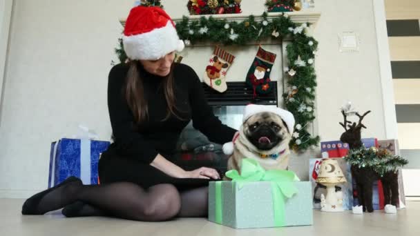 Dívka dává dárek k legrační pug pes v vánočním kostýmu, oblečený v Santa Claus klobouky, Nový rok a Vánoce — Stock video