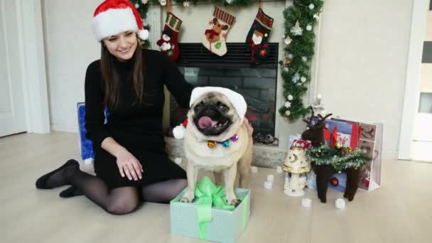 Divertente cane carlino con regalo di Natale, con proprietario femminile vestito con cappelli di Babbo Natale, Capodanno e Natale — Video Stock