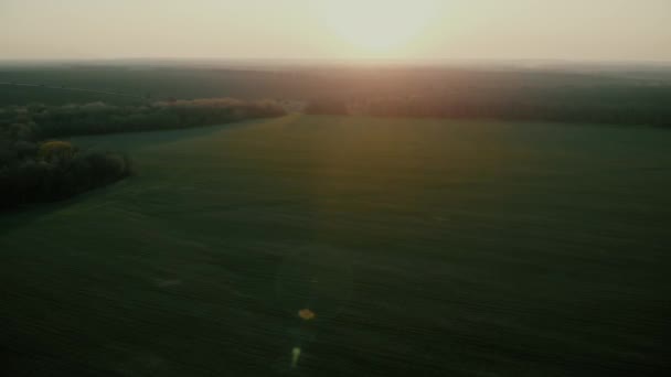 Αεροφωτογραφία του πράσινου πεδίου στο ηλιοβασίλεμα, εξοχή — Αρχείο Βίντεο