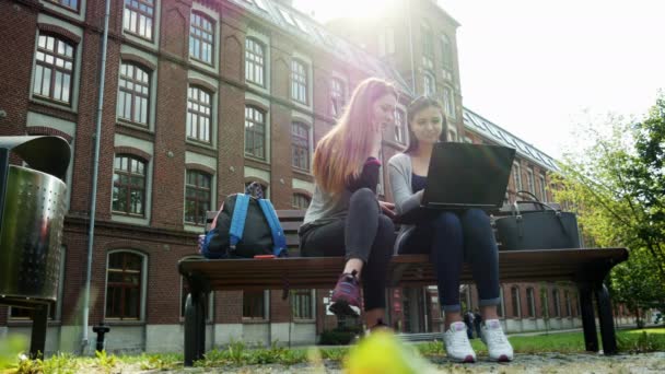 Озил и счастливые студентки, работающие над совместным проектом и выполняющие домашнюю работу на ноутбуке, сидящие в парке на территории кампуса, люди на заднем плане — стоковое видео