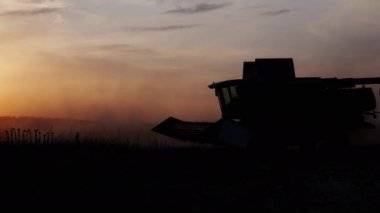 Hasat silueti tarlada çalışıyor ve gün batımında hasadı biçiyor. Tarım ve tarım sektörü.