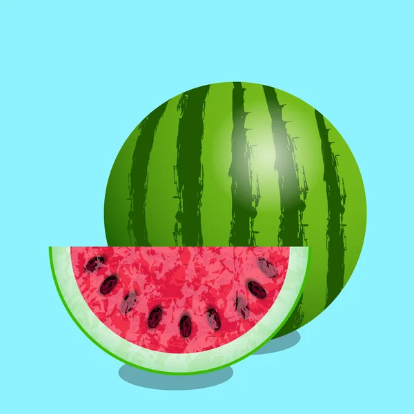 Watermelon and cut slice. Texture of the watermelon with seed. Vector illustration. Blue background — Stock Vector