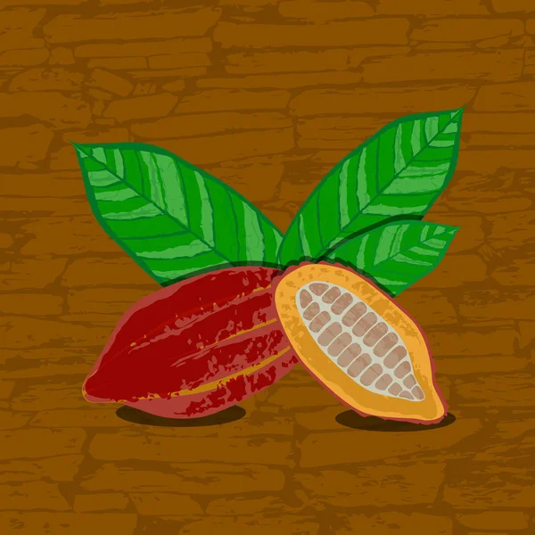 ココアの果物と葉 カット カカオ豆 ベクトルの図 チョコレートのグランジ テクスチャ 茶色の背景 — ストックベクタ