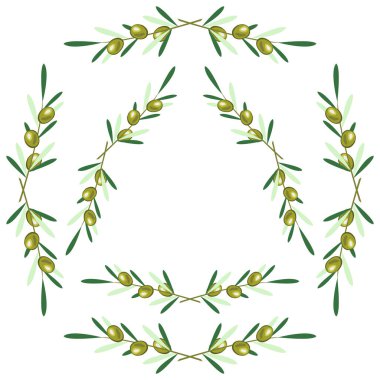 2 yuvarlak kare - zeytin dalı kümesi. Beyaz arka plan