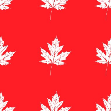 Ağaçların yaprakları baskısını. Kanada Maple. Seamless modeli. Beyaz elemanları, kırmızı arka plan
