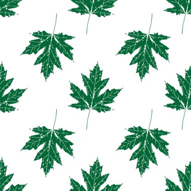 Ağaçların yaprakları baskısını. Kanada Maple. Seamless modeli. Yeşil elemanları, beyaz arka plan
