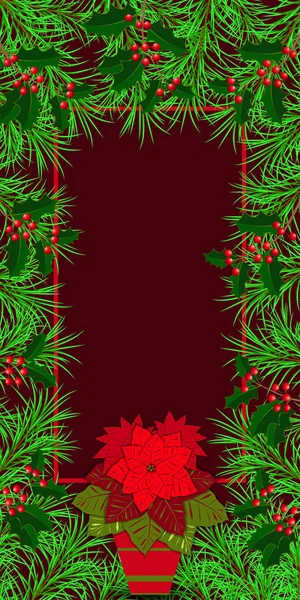 Νέο έτος, Χριστούγεννα, παραμονή Χριστουγέννων, χειμερινές διακοπές. Banner, πρόσκληση, φέιγ βολάν. Πλαίσιο κατασκευασμένο από έλατα και πουρνάρια κλαδιά. Γλάστρα με ένα φυτό Αλεξανδρινό. Μπορντό φόντο. Κατακόρυφη διάταξη. — Φωτογραφία Αρχείου