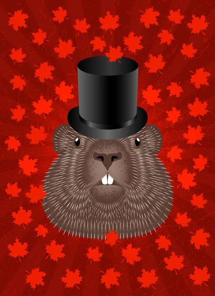 Dia da Marmota. Conceito Férias nacionais no Canadá. Groundhog Head em Top Hat. Fundo vermelho com raios centrais, folhas de bordo e textura grunge . —  Vetores de Stock