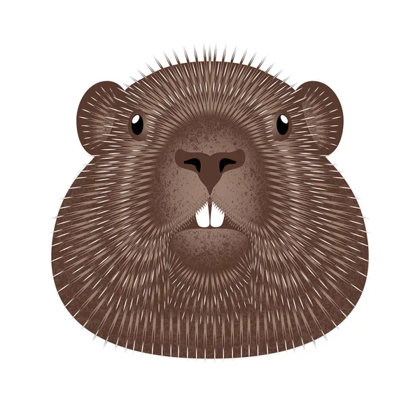 Dia da Marmota. Conceito Férias nacionais nos EUA e Canadá. Ilustração vetorial da face da marmota animal. Textura grunge . —  Vetores de Stock