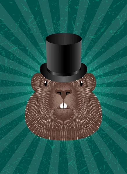 Dia da Marmota. Conceito Férias nacionais nos EUA e Canadá. Groundhog Head em Top Hat. Fundo verde com raios centrais, textura grunge . —  Vetores de Stock