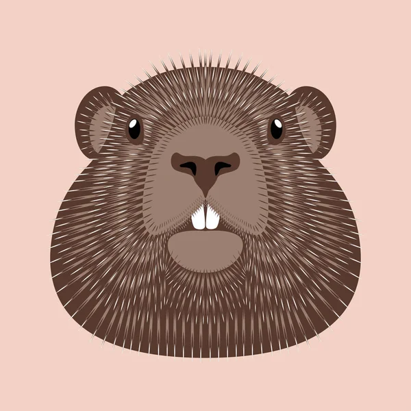 Dia da Marmota. Conceito Férias nacionais nos EUA e Canadá. Ilustração vetorial da face da marmota animal . —  Vetores de Stock
