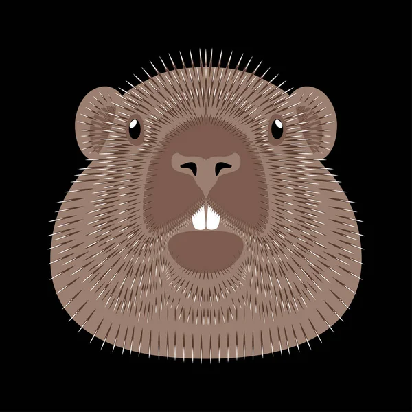 Jour Marmotte Concept Fête Nationale Aux États Unis Canada Illustration — Image vectorielle