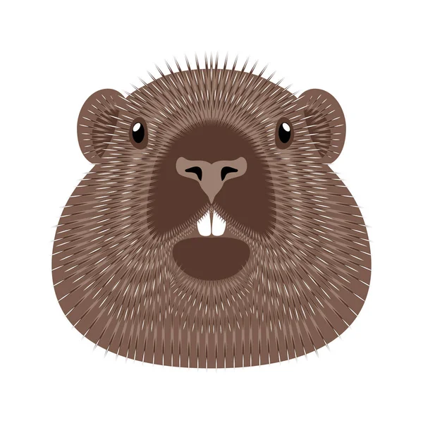 Jour Marmotte Concept Fête Nationale Aux États Unis Canada Illustration — Image vectorielle