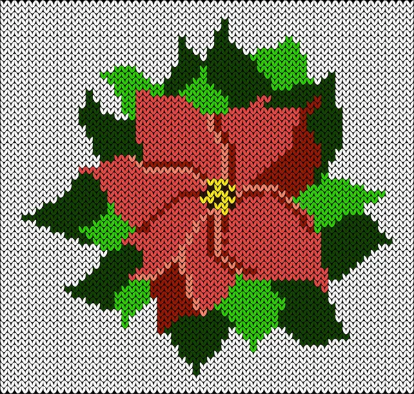 Poinsettia Imitation Tricot Nouvel Noël Vacances Hiver Brochure Invitation Bannière — Image vectorielle