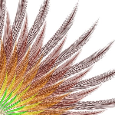 Rio karnaval. Davet, Bilet, afiş için şablon. Renkli tüyler Herkesdaire oluşturacak şekilde düzenlenmiştir. Köşe konumu