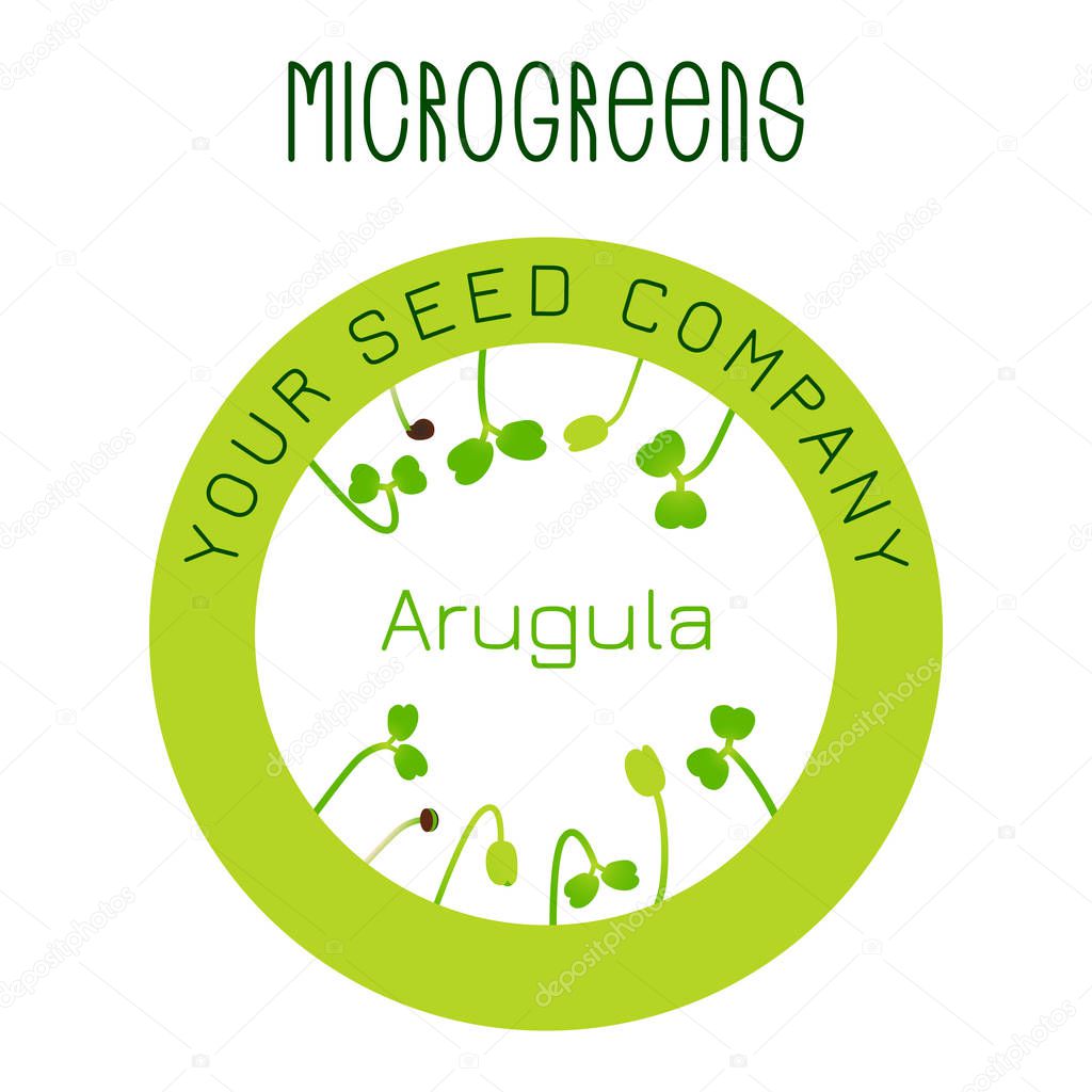 Microgreens Arugula. Seed packaging design, round element in the center