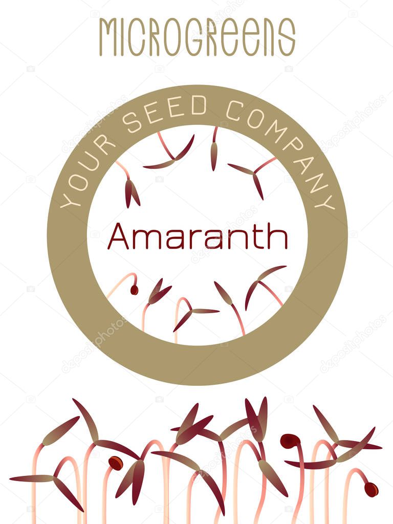 Microgreens Red Amaranth. Seed packaging design, round element in the center. Sprouting seeds of a plant. Vitamin supplement, vegan food
