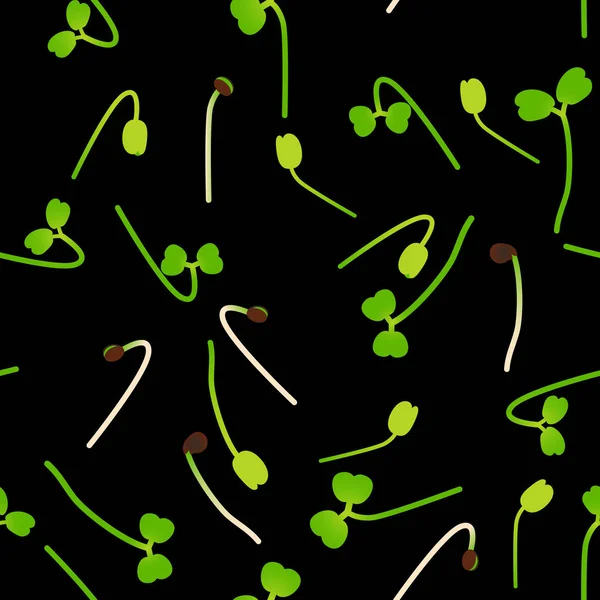 Microgreens Arugula입니다 식물의 씨앗을 패턴입니다 비타민 — 스톡 벡터