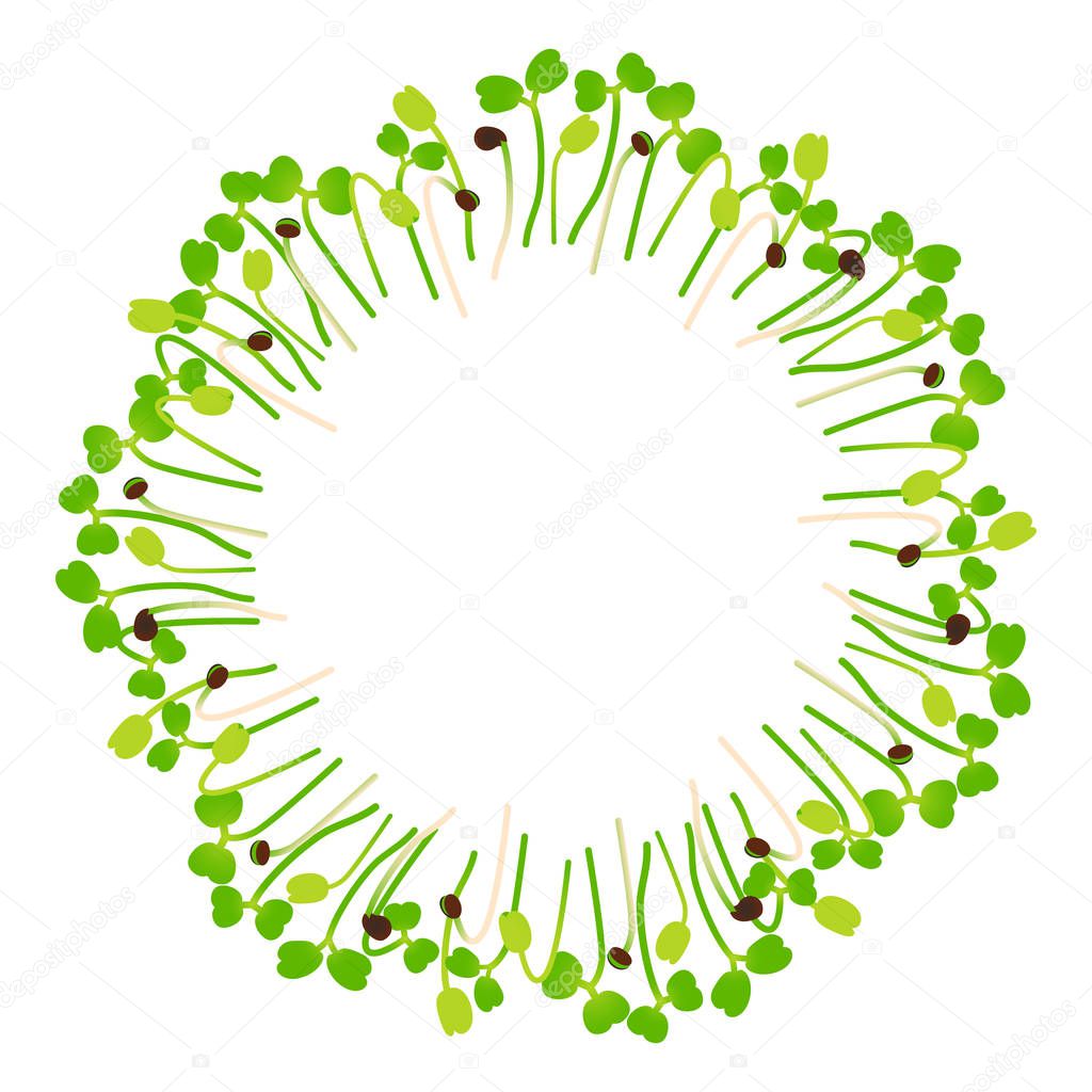Microgreens Arugula. Arranged in a circle. Vitamin supplement, vegan food