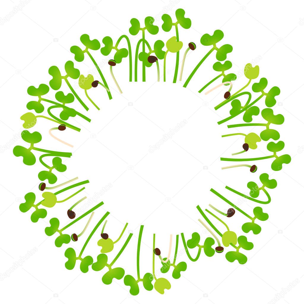 Microgreens Broccoli. Arranged in a circle. Vitamin supplement, vegan food