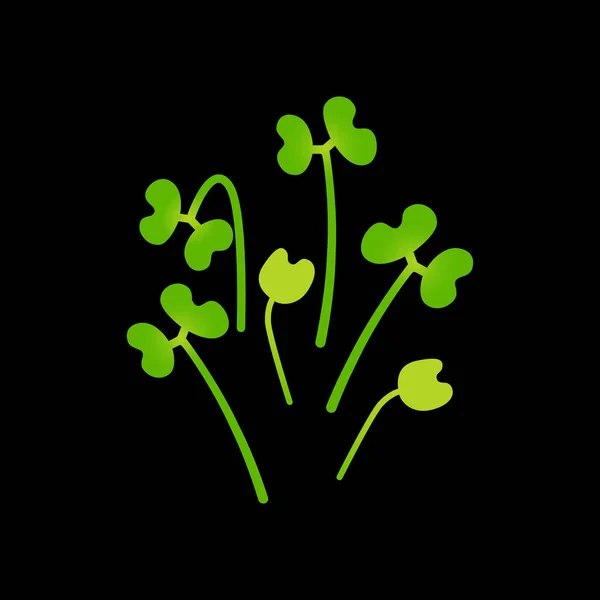 Brócoli Microgreens. Un montón de plantas. Fondo negro — Vector de stock