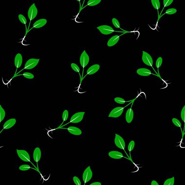 Microgreens. Bir bitki tohumları çimlenme. Seamless modeli.