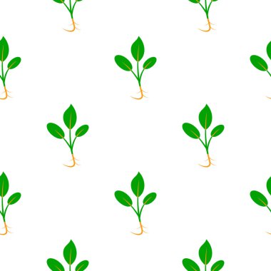 Microgreens. Bir bitki tohumları çimlenme. Seamless modeli.