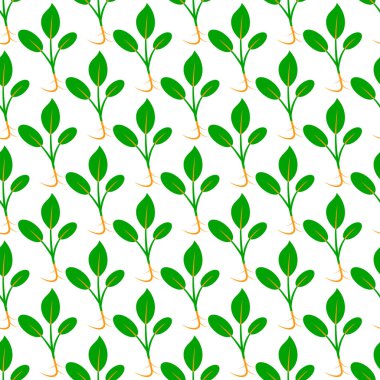 Microgreens. Bir bitki tohumları çimlenme. Seamless modeli.